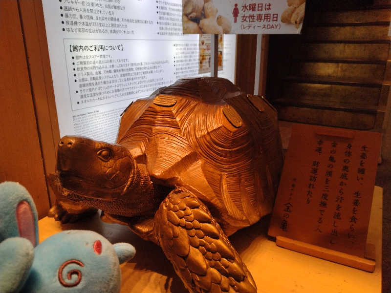 るるさんの生姜サウナ 金の亀のサ活写真