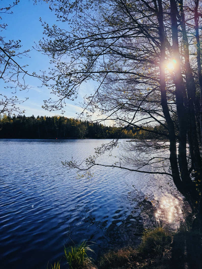 ざろぴさんのCafe Kuusijärviのサ活写真