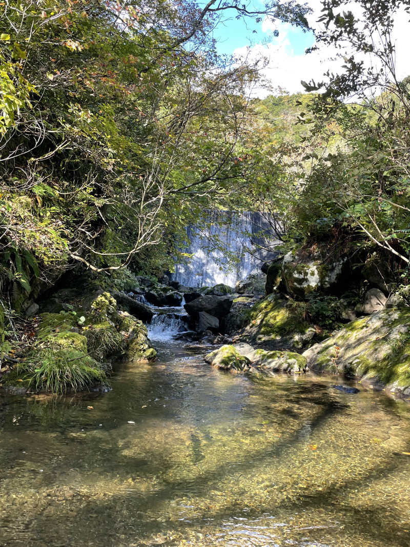 弟子さんの源泉掛け流し しあわせの湯のサ活写真