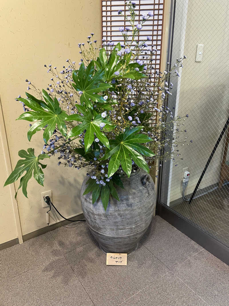 弟子さんの源泉掛け流し しあわせの湯のサ活写真