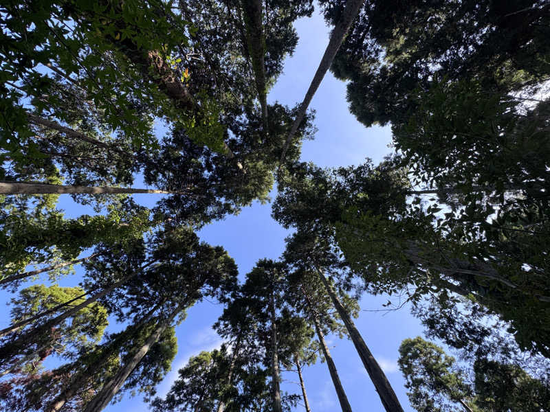 SHIN-URAYASU LIFEさんのRender Fika Sammuのサ活写真