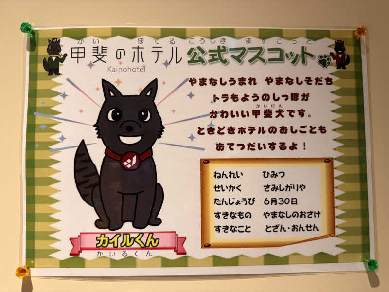 SHIN-URAYASU LIFEさんの甲斐のホテル(旧 ホテル内藤 甲府昭和)のサ活写真