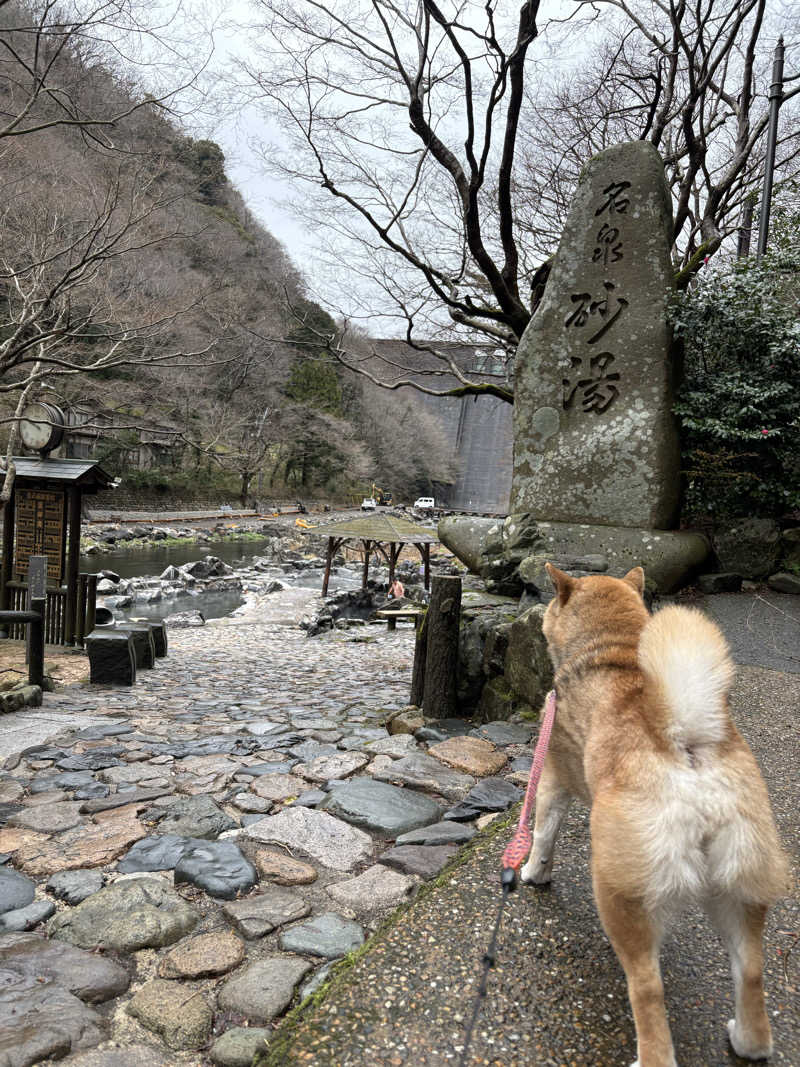 パパゴリラさんの湯原温泉 八景のサ活写真