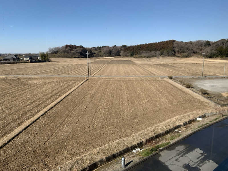 🍀パル🍀さんの成田の命泉 大和の湯のサ活写真