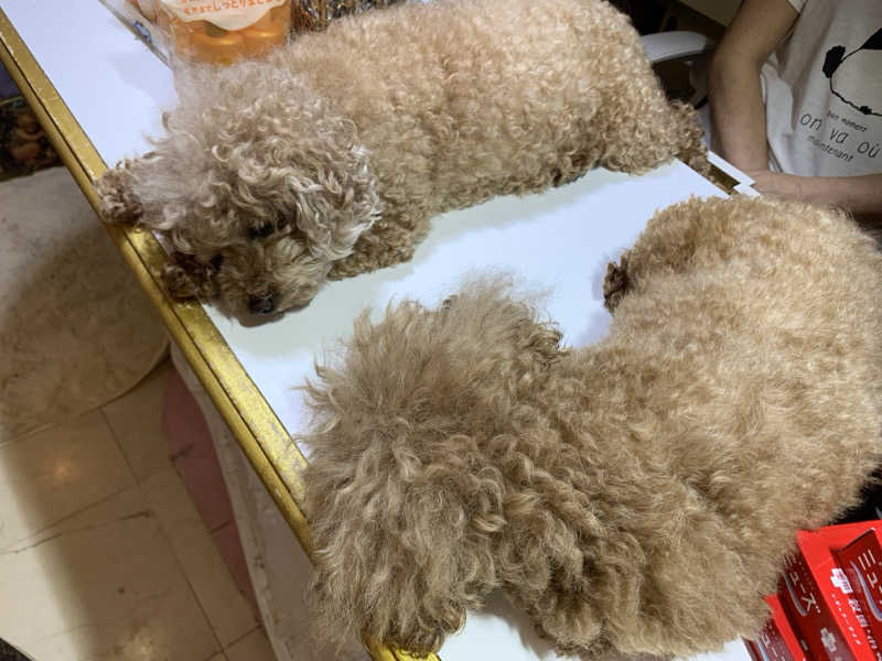 🍀パル🍀さんのクアパレスのサ活写真