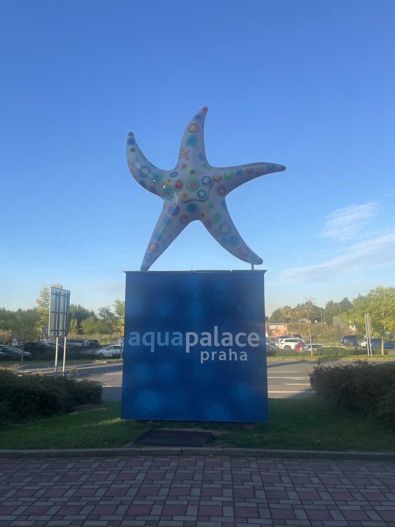 AyanoさんのAquapalace Pragueのサ活写真