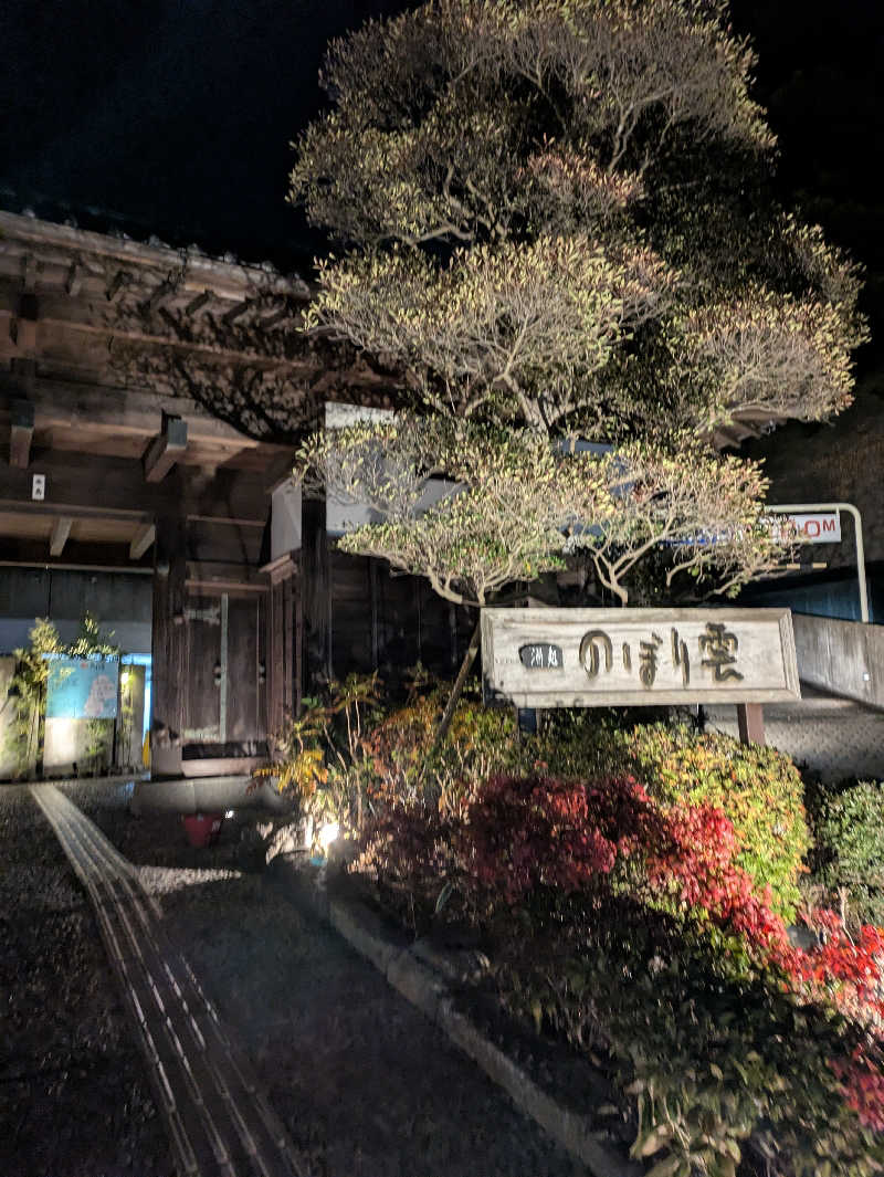 あおさんの佐野天然温泉 湯処 のぼり雲のサ活写真