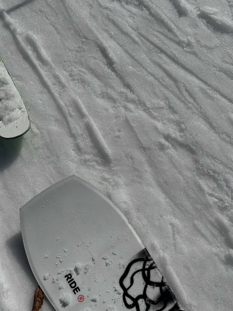 ほむさうなさんのホテルタングラム 斑尾東急リゾートのサ活写真