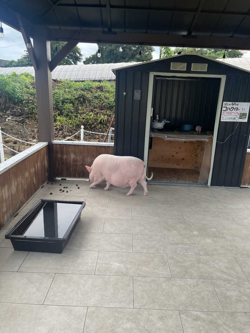 もえさんのまるた屋温泉 西方の湯のサ活写真