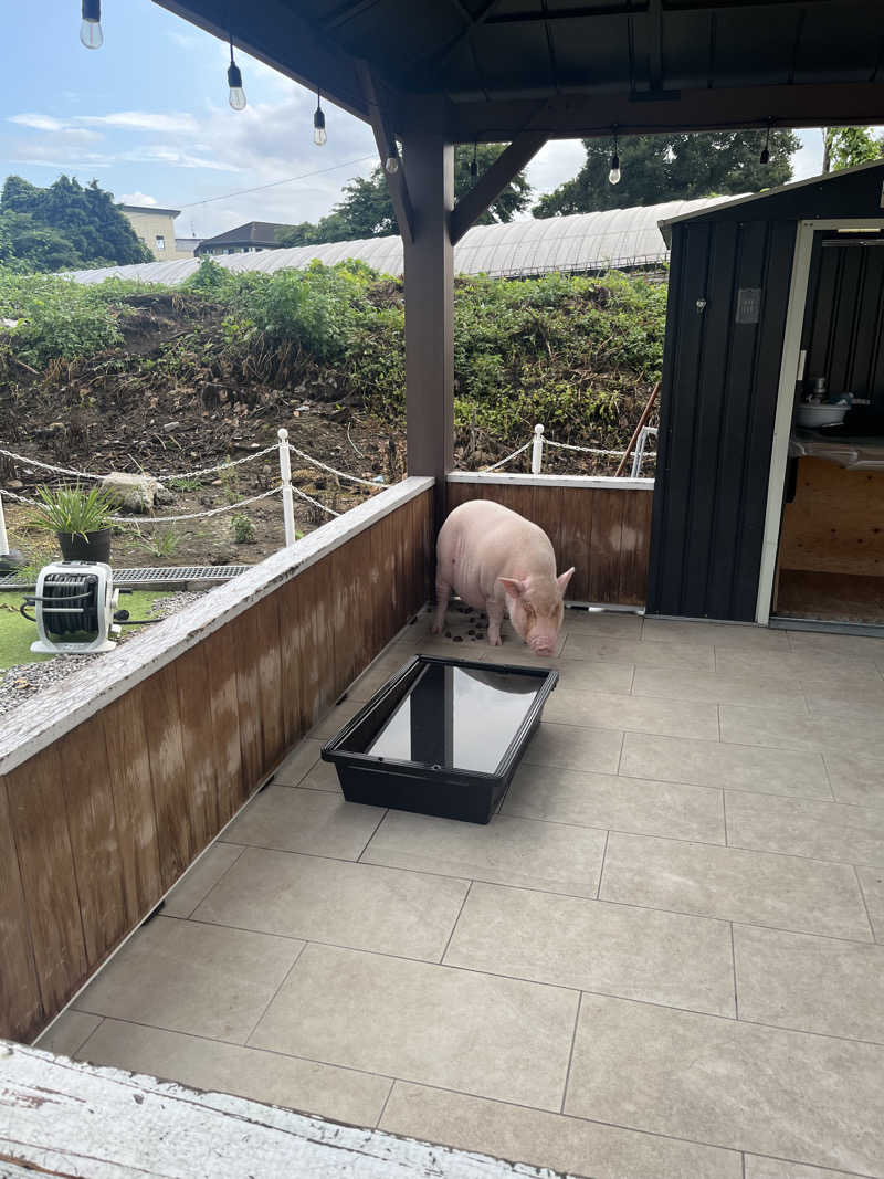 もえさんのまるた屋温泉 西方の湯のサ活写真
