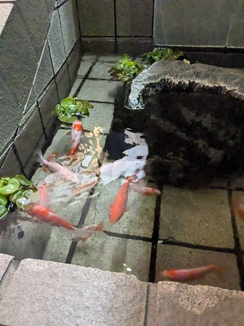 てきとうさんのぽかぽか温泉 新守山乃湯のサ活写真