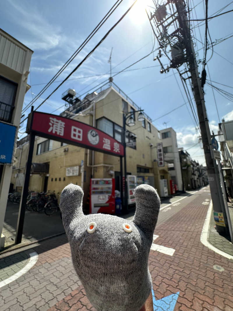 Seiさんさんの蒲田温泉のサ活写真