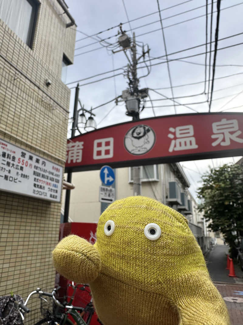 Seiさんさんの蒲田温泉のサ活写真