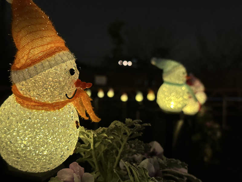 Seiさんさんのよみうりランド眺望温泉 花景の湯のサ活写真