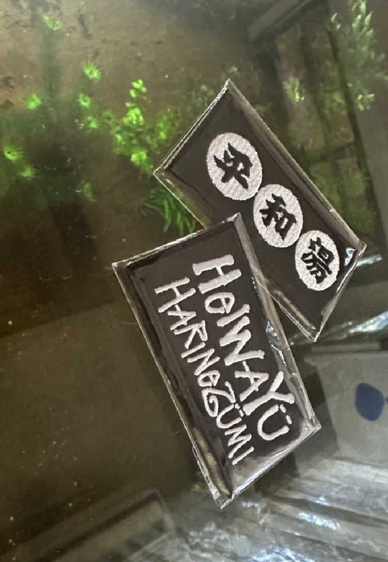 Seiさんさんの平和湯のサ活写真