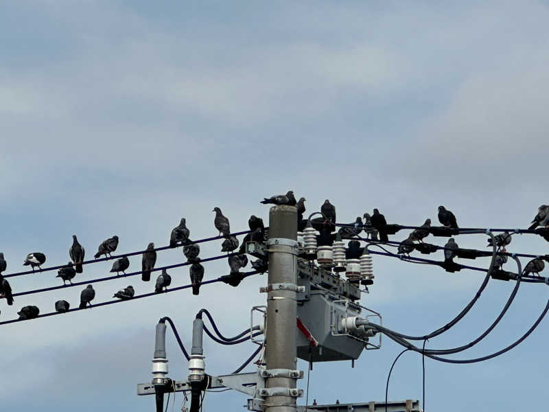 Seiさんさんのファンタジーサウナ&スパおふろの国のサ活写真