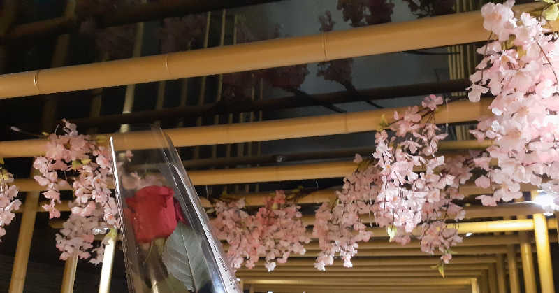 юяyslさんのおふろの王様 高座渋谷駅前店のサ活写真