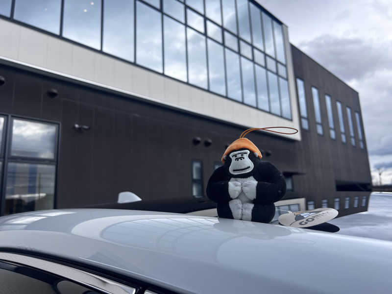 だるまたいしさんのフィットネスクラブ ハーブのサ活写真