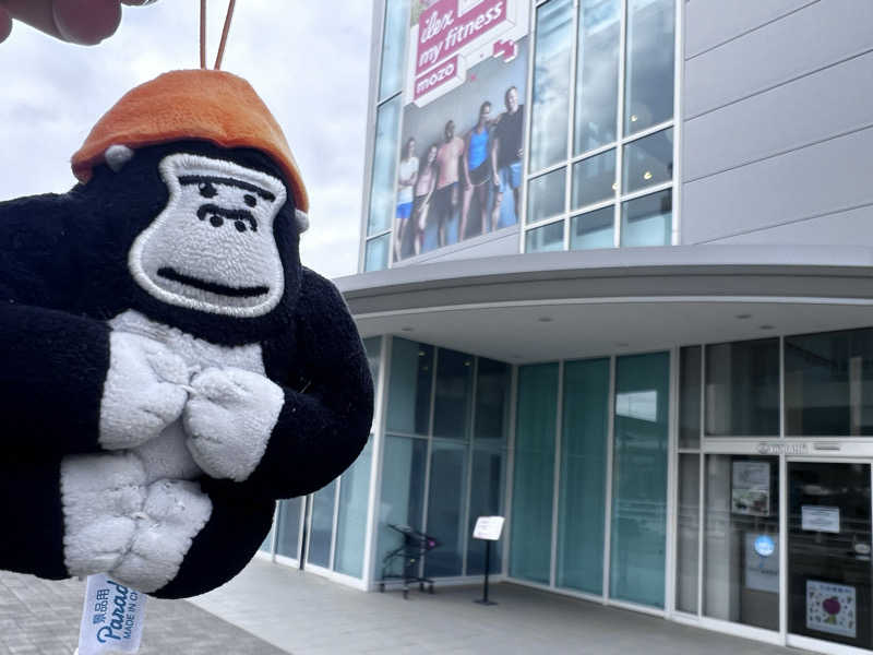 だるまたいしさんのアイレクスマイフィットネスmozoのサ活写真