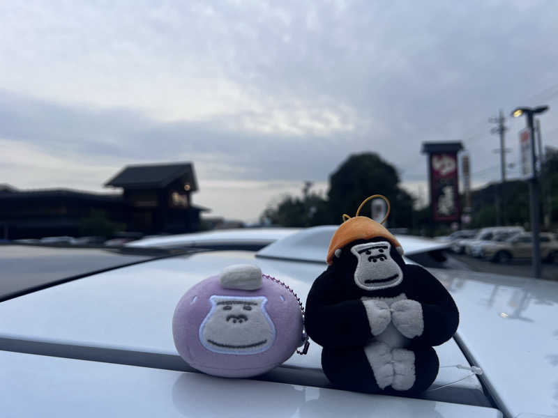 だるまたいしさんの天空SPA HILLS 竜泉寺の湯 名古屋守山本店のサ活写真