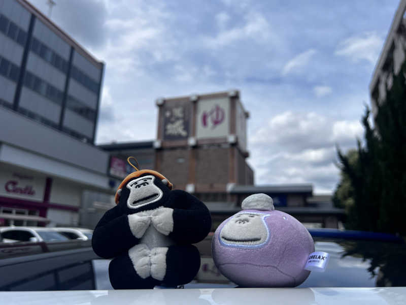 だるまたいしさんの大曽根温泉 湯の城のサ活写真