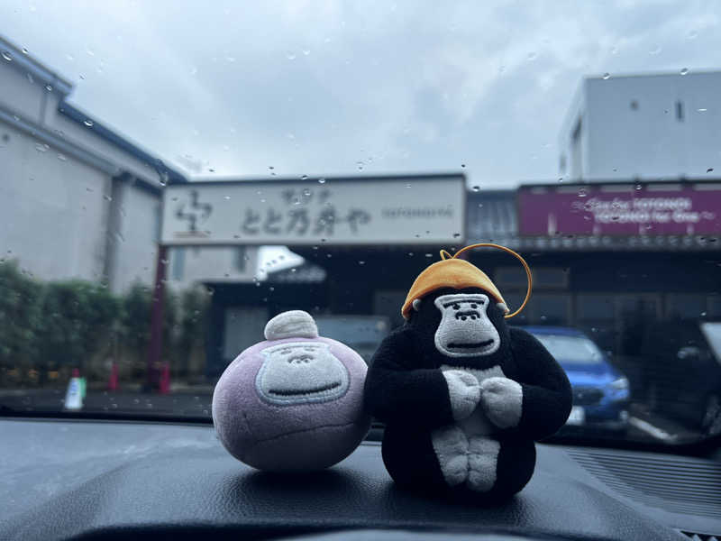 だるまたいしさんのサウナ とと乃井やのサ活写真