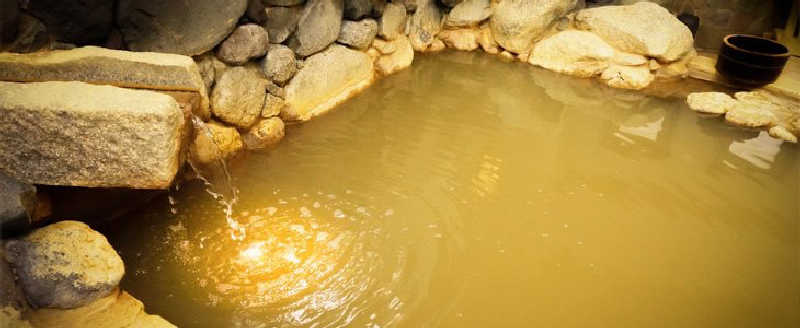 ミムパバさんの武蔵小山温泉 清水湯のサ活写真