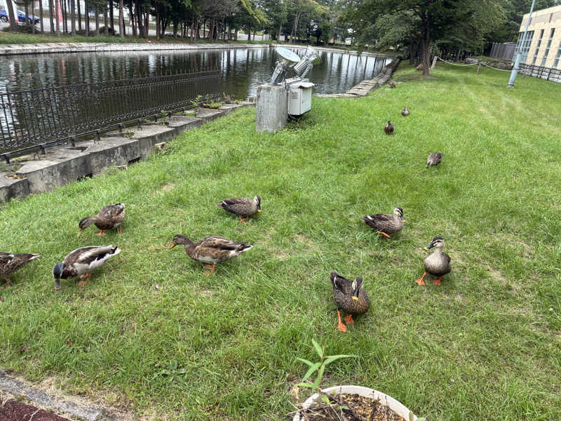 SAUNAxxxHOLiCさんの札内ガーデン温泉のサ活写真