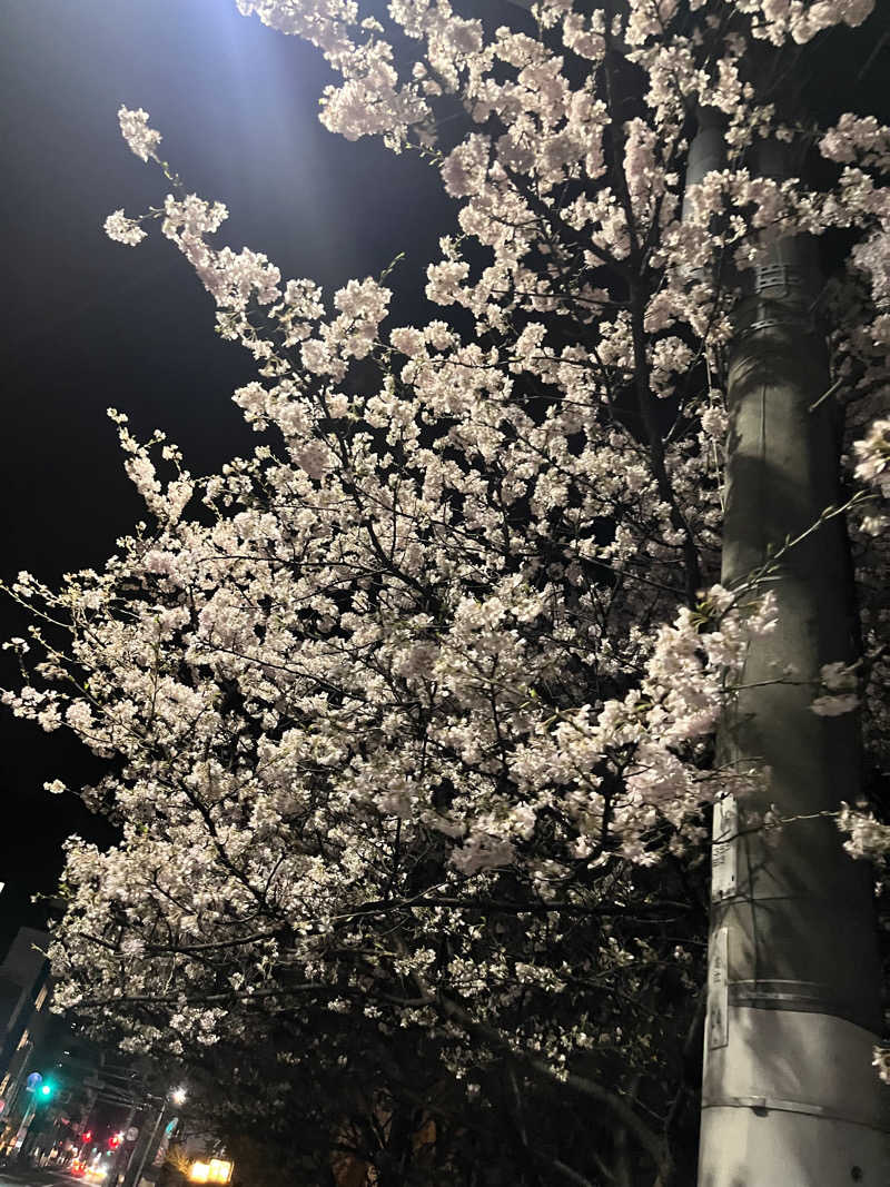 SAMさんの白山湯 高辻店のサ活写真