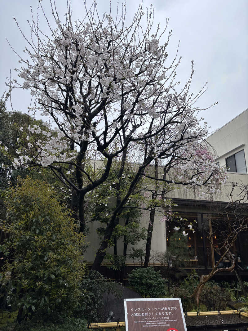 yuki1213さんの東京染井温泉 SAKURAのサ活写真
