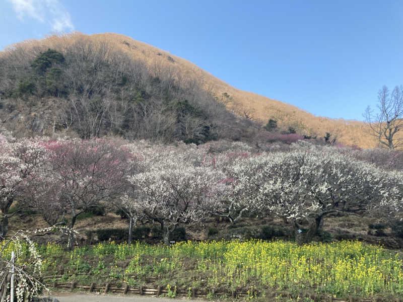 蒸し侍さんの天然温泉 小田原コロナの湯のサ活写真
