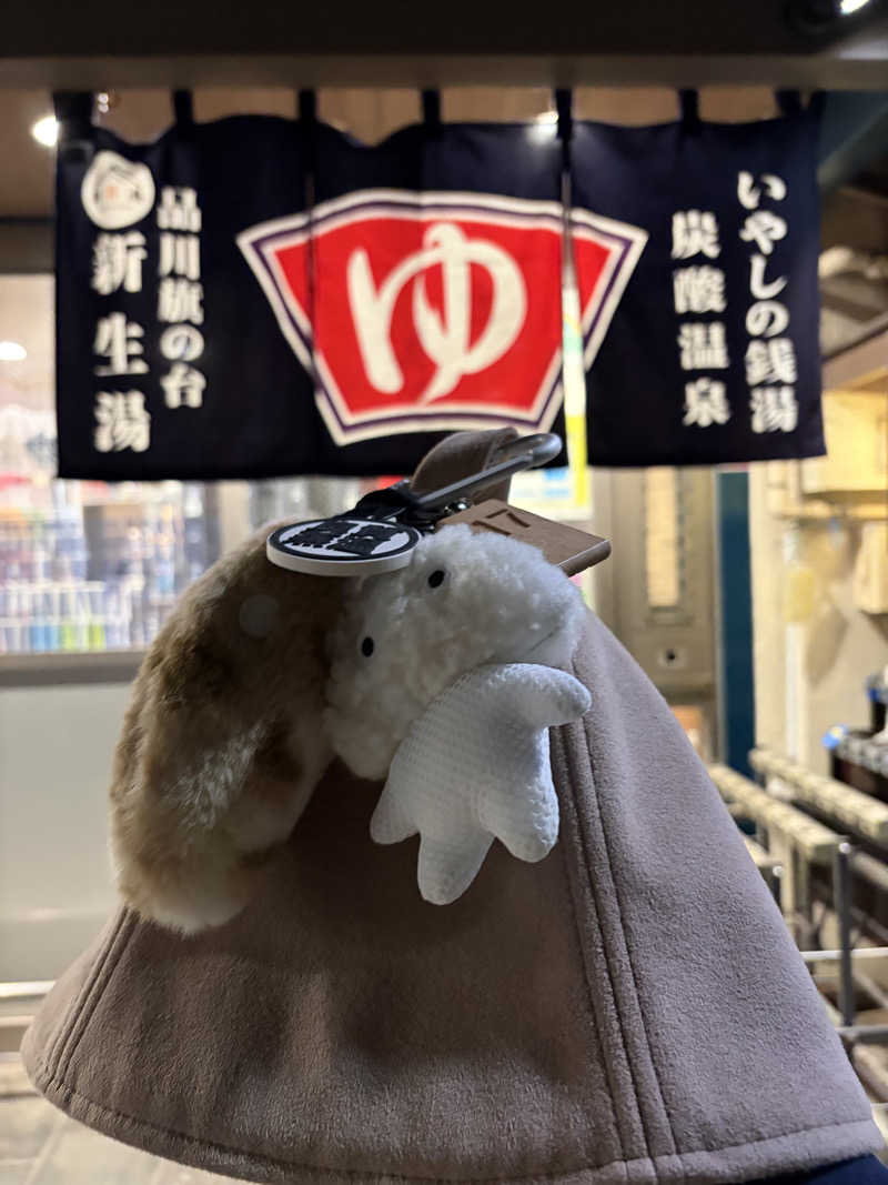 こーこさんの新生湯のサ活写真