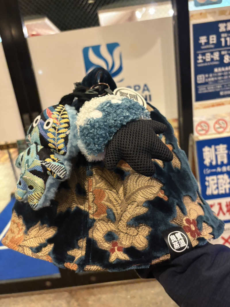 こーこさんのファンタジーサウナ&スパおふろの国のサ活写真