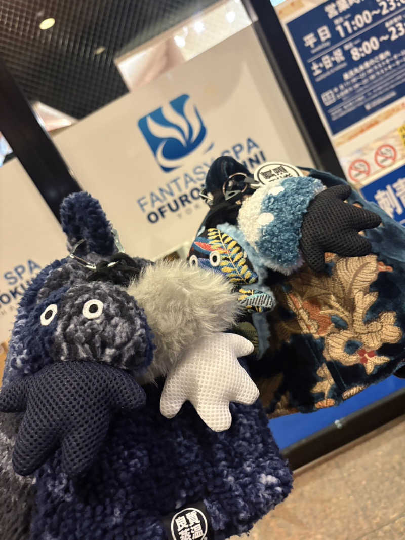 こーこさんのファンタジーサウナ&スパおふろの国のサ活写真