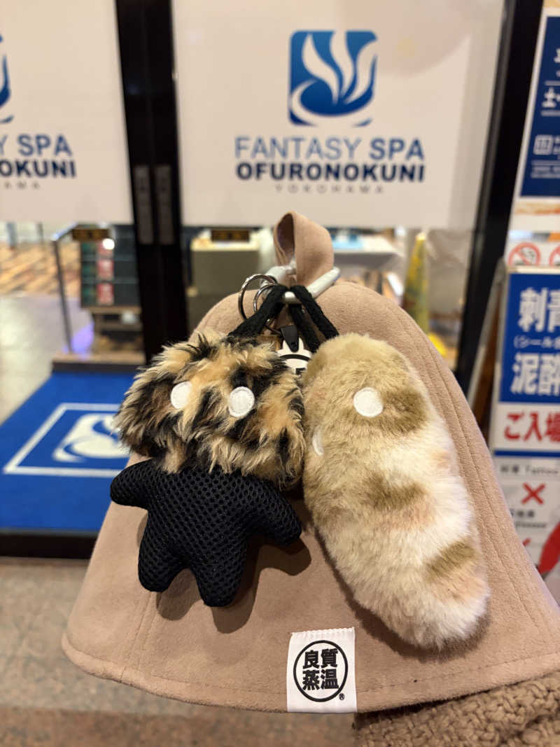こーこさんのファンタジーサウナ&スパおふろの国のサ活写真