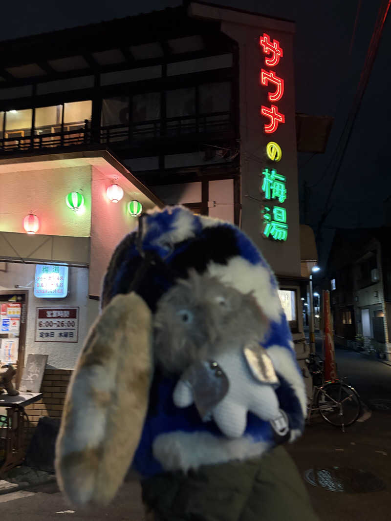 こーこさんのサウナの梅湯のサ活写真