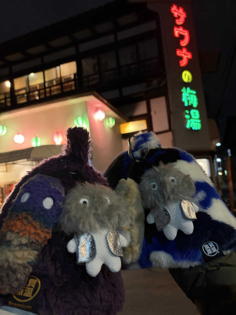 こーこさんのサウナの梅湯のサ活写真
