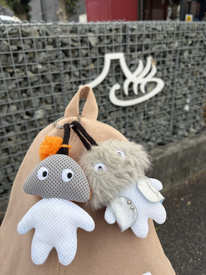こーこさんの富士山天然水SPA サウナ鷹の湯のサ活写真