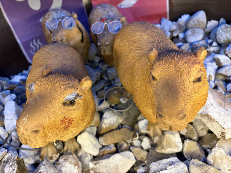 こーこさんの富士山天然水SPA サウナ鷹の湯のサ活写真