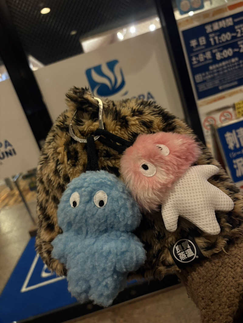 こーこさんのファンタジーサウナ&スパおふろの国のサ活写真