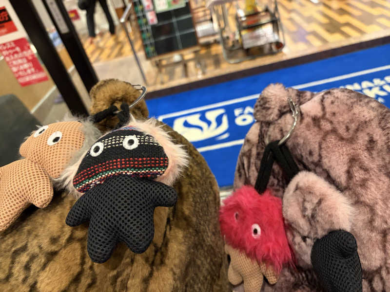こーこさんのファンタジーサウナ&スパおふろの国のサ活写真
