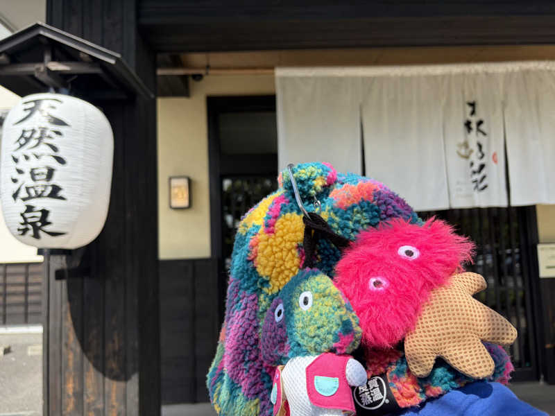 こーこさんの多摩境天然温泉 森乃彩のサ活写真