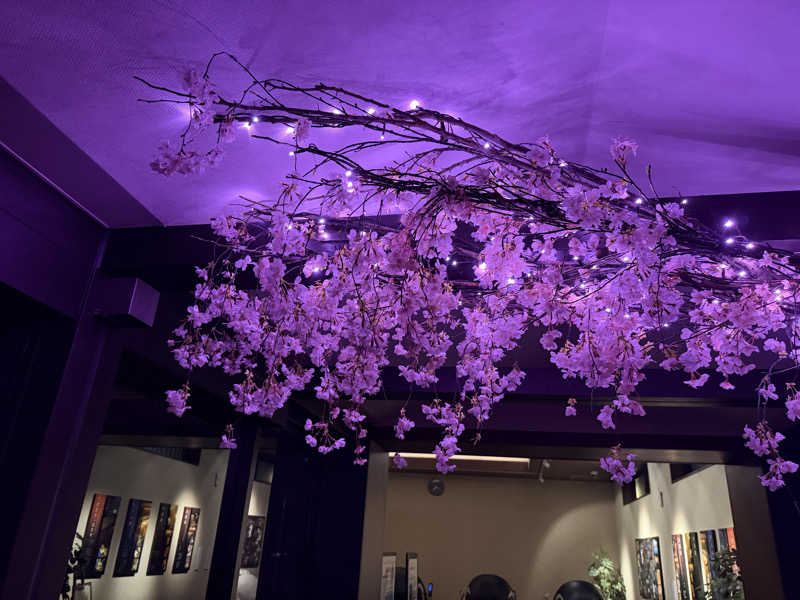 てるちゃんさんの宮前平源泉 湯けむりの庄のサ活写真