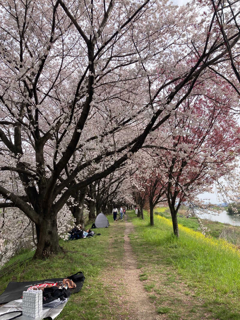 keizoさんの京極湯のサ活写真