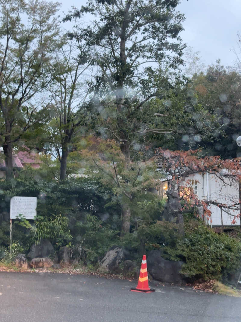 水風呂の住人さんの池田温泉本館のサ活写真