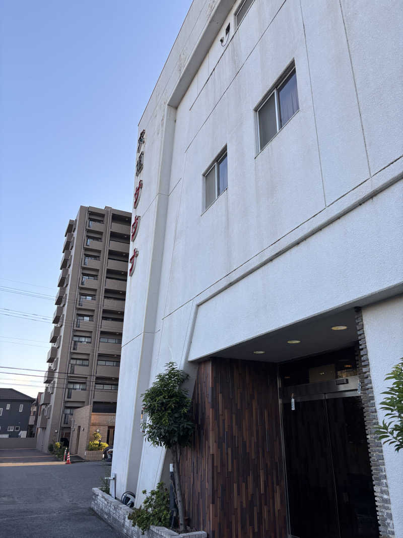 水風呂の住人さんの大垣サウナのサ活写真