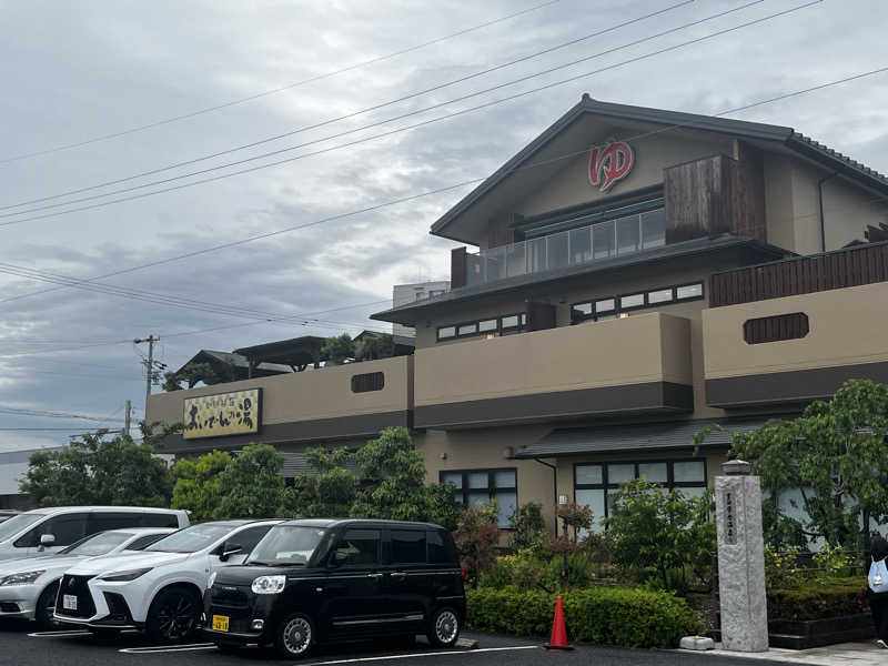 ベーヤンさんの豊田挙母温泉 おいでんの湯のサ活写真