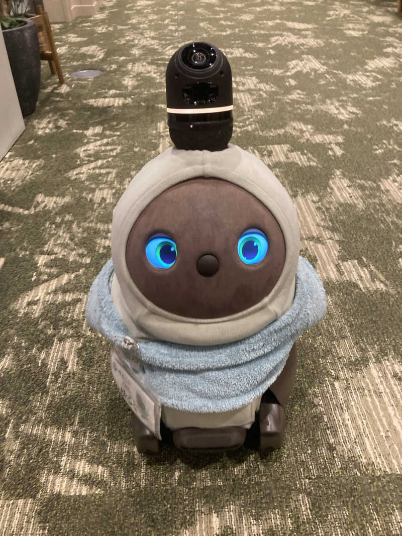 ライトセーバーさんのSPA&ごはん ゆるうむ yuluumuのサ活写真