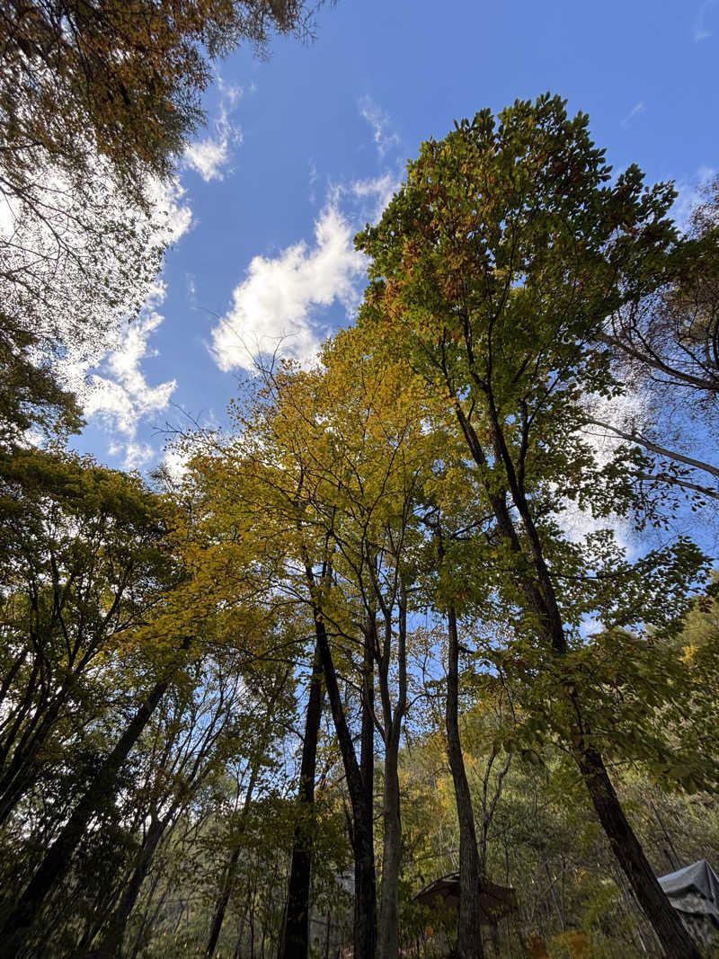 しゃもじさんの八千穂SAUNAのサ活写真