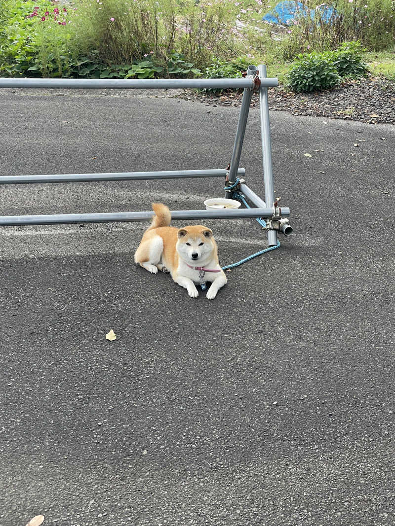 紅鮭さんのアニキのサウナのサ活写真